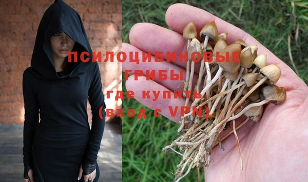 а пвп мука Дмитров