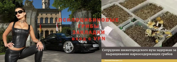 а пвп мука Дмитров