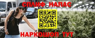 a pvp Донской