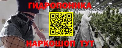 крисы Донецк
