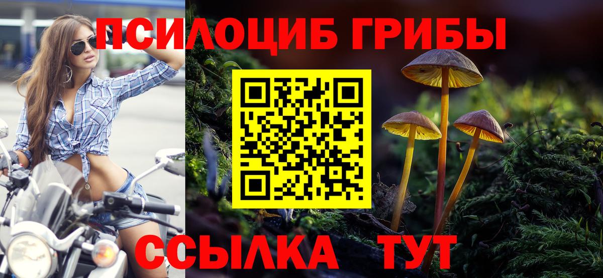 Псилоцибиновые грибы Cubensis  Вход с VPN  Дзержинск 