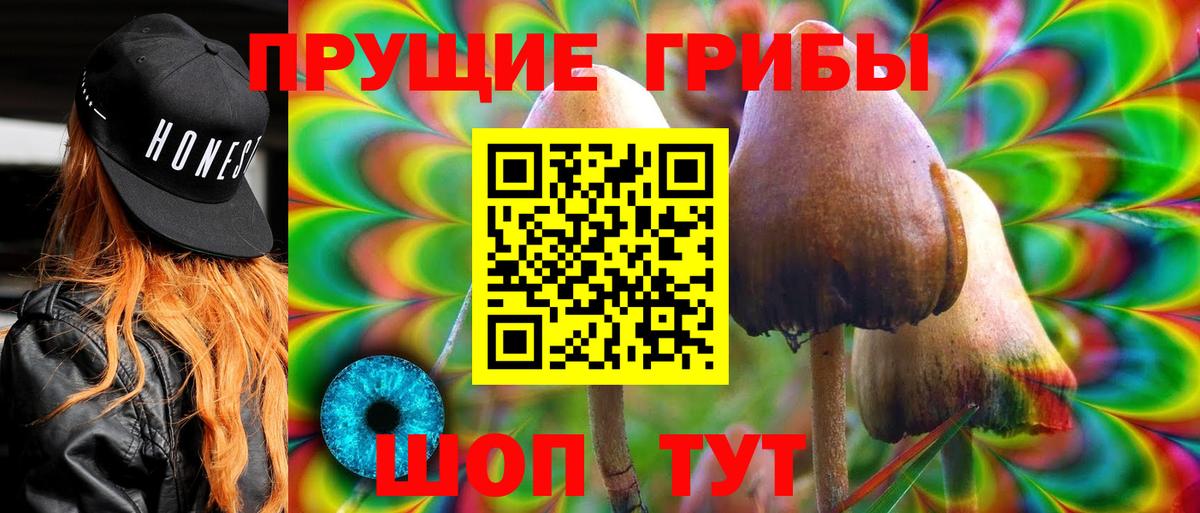 Галлюциногенные грибы Cubensis Дзержинск